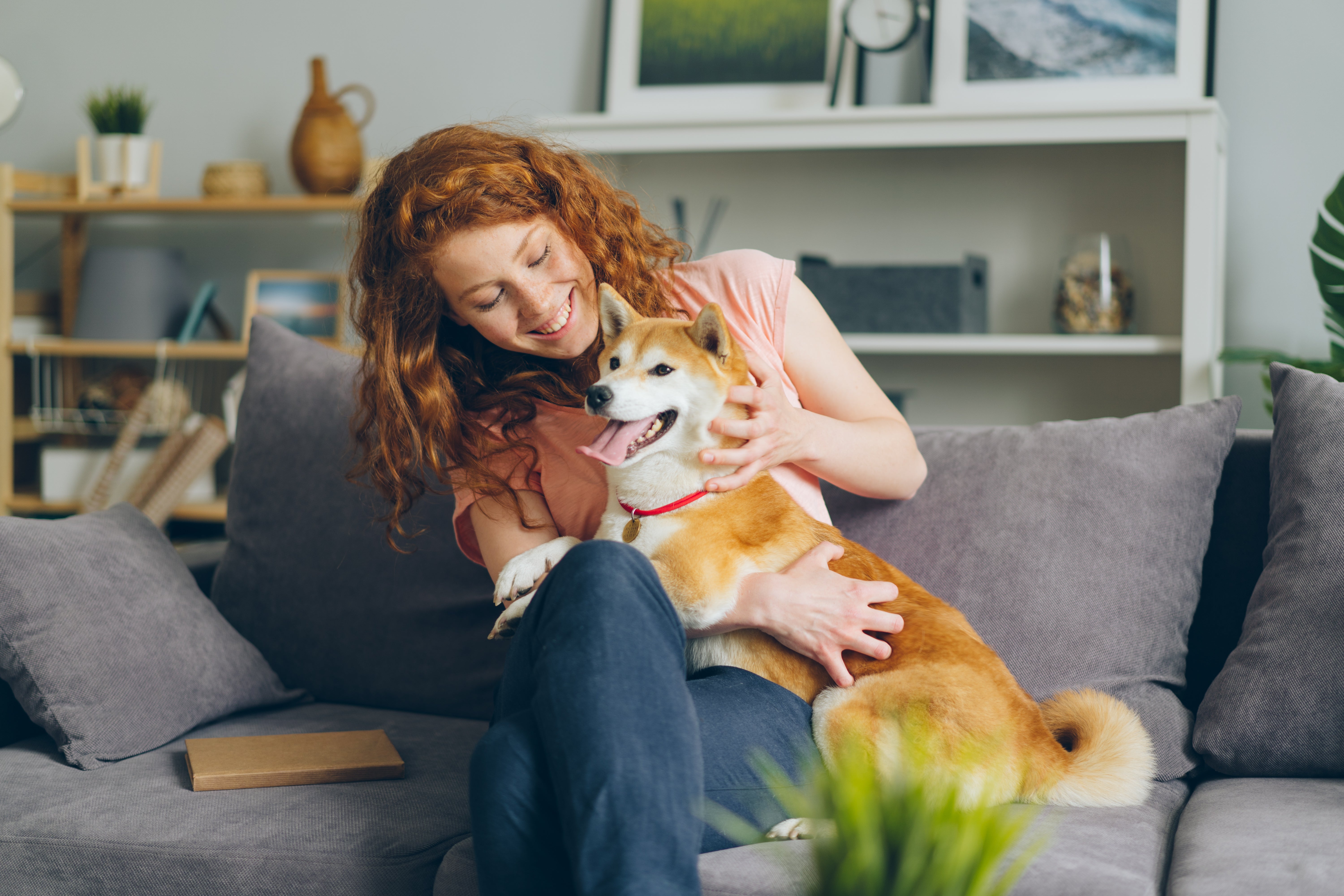 The Mood-Boosting Power of Pets: Are Dogs Good for Mental Health?