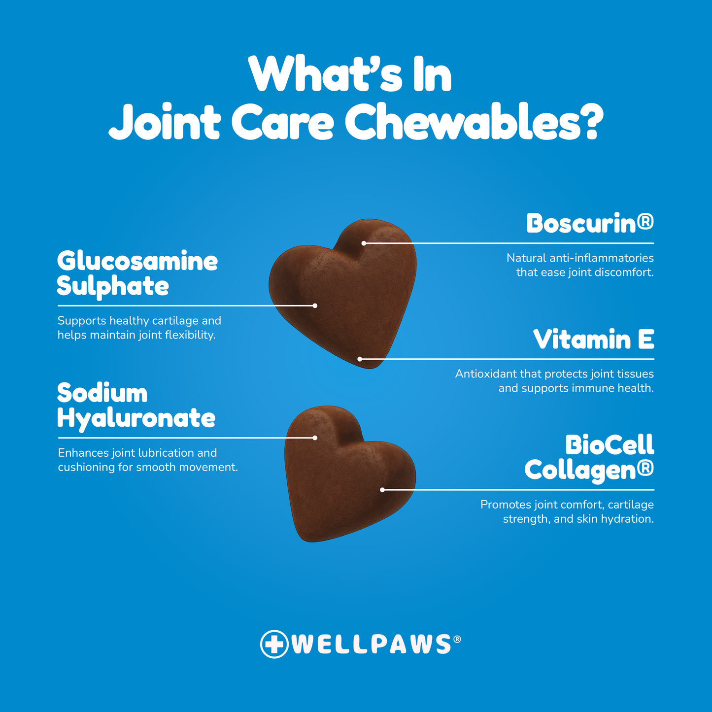 Joint Care Chewable (60 Chewables)