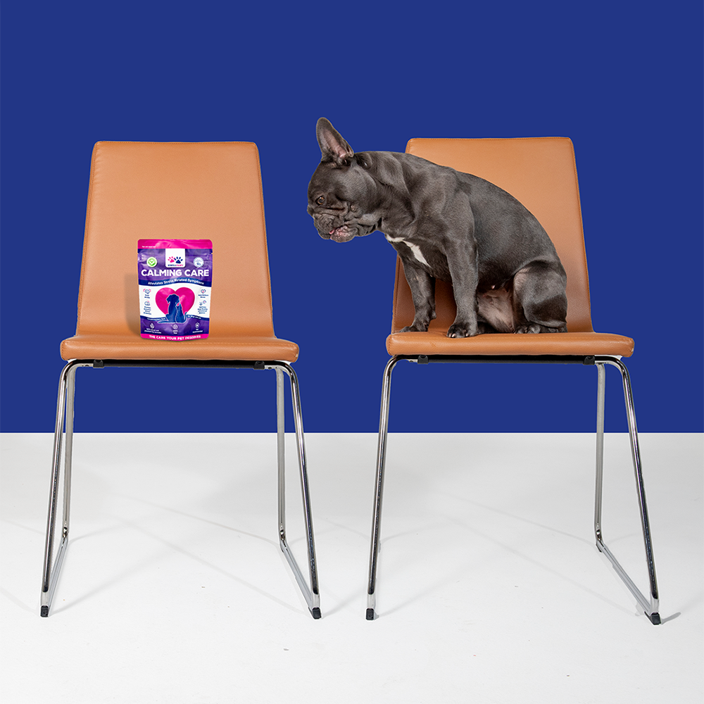 Calming Care Chewable (60 Chewables)