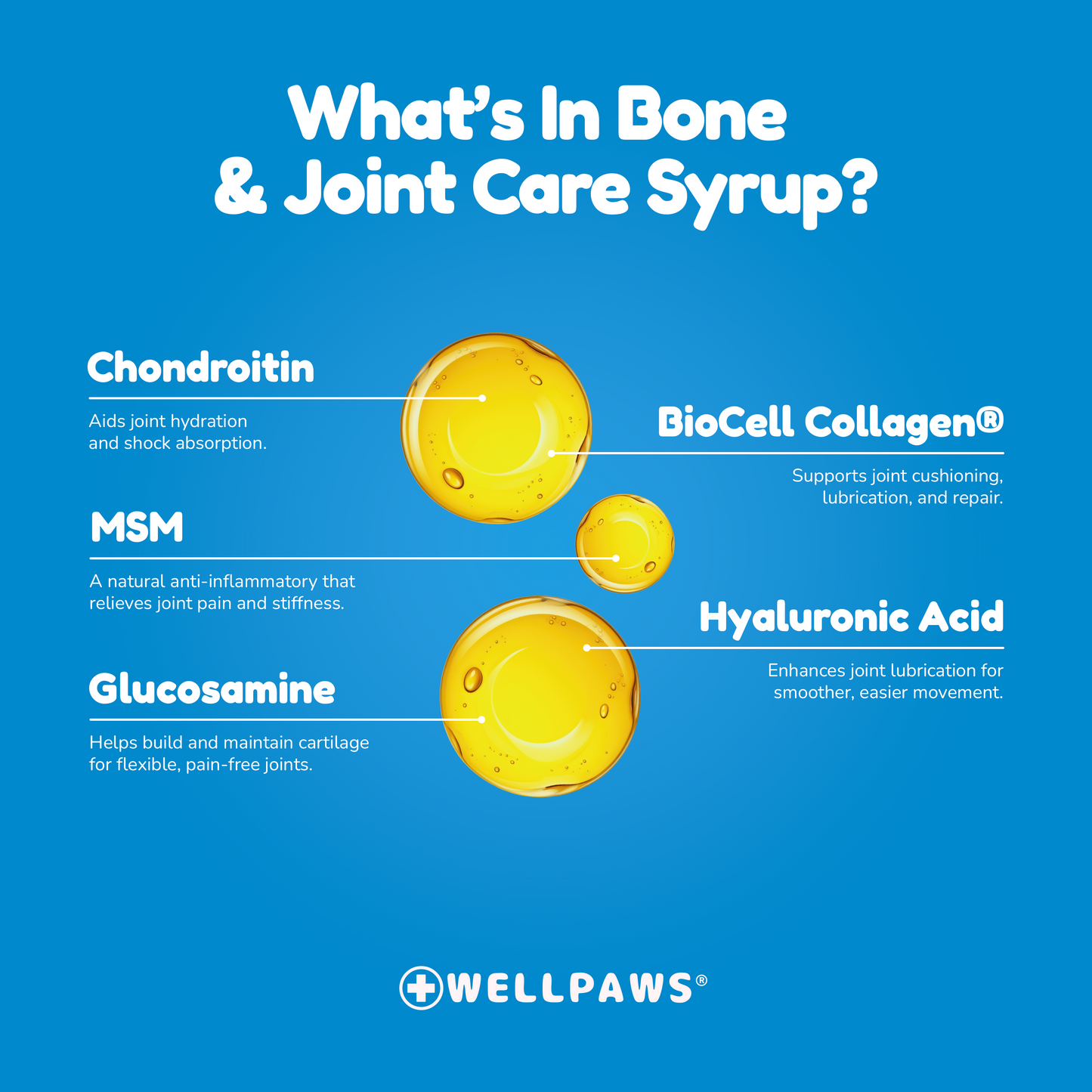 Bone & Joint Care Syrup (300ml)