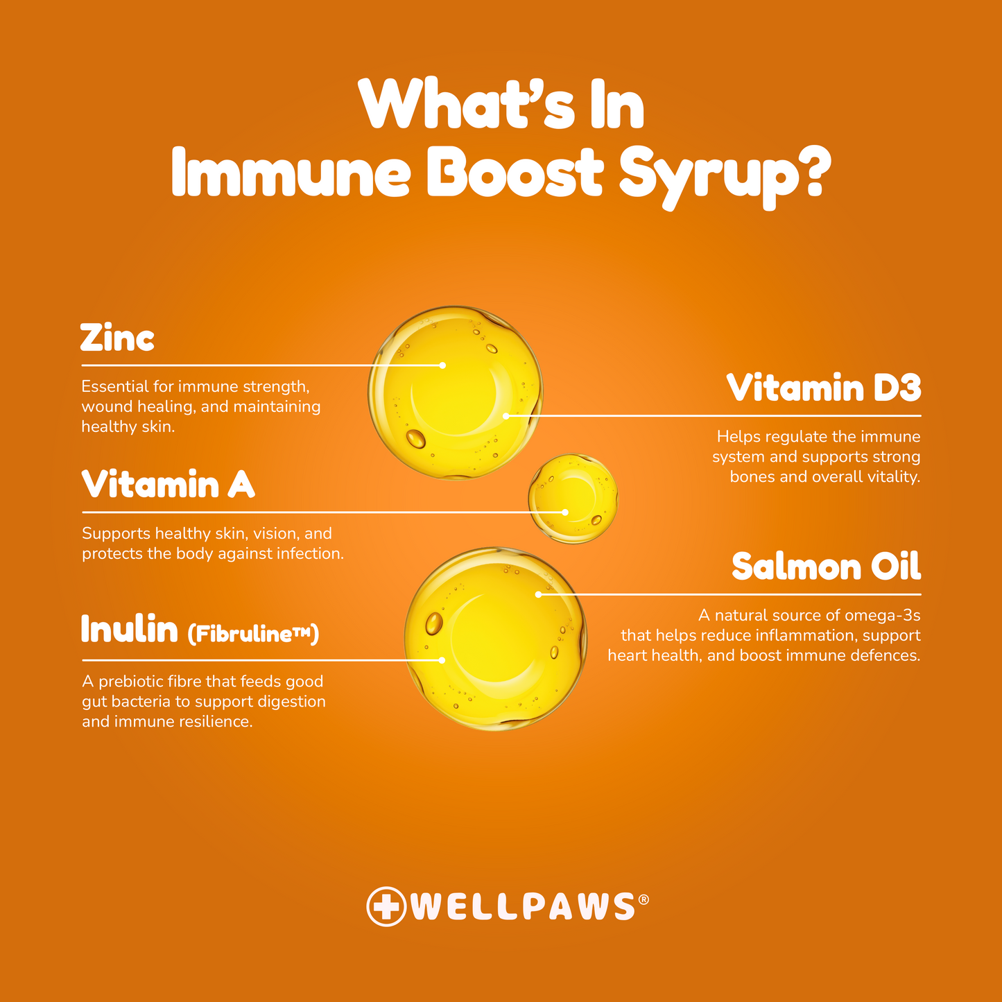Immune Boost Syrup (300ml)