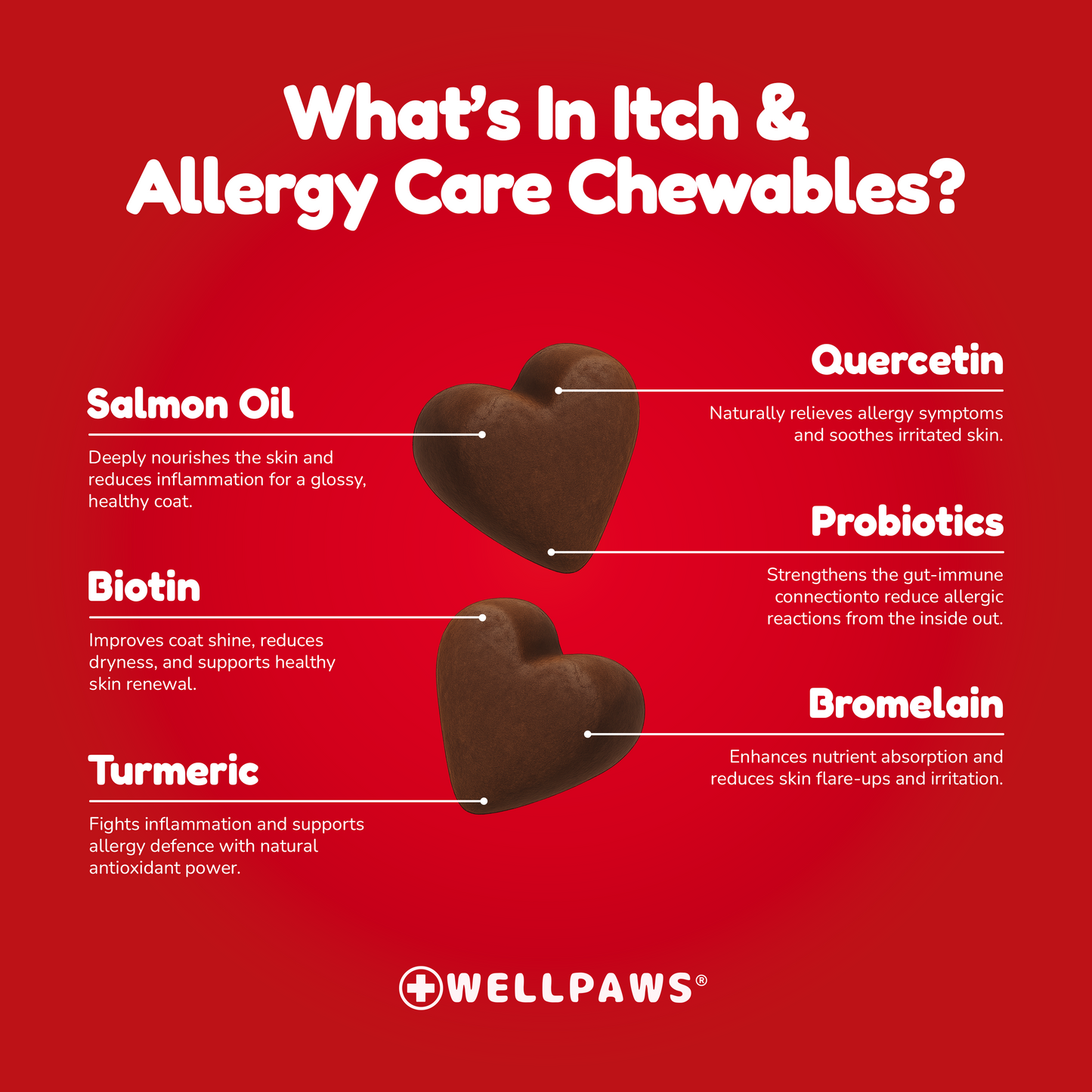 Itch & Allergy Care Chewable (60 Chewables)