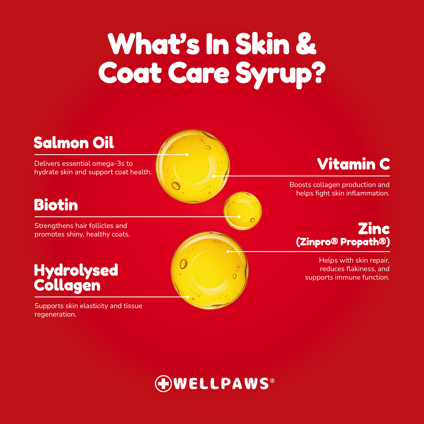 Skin & Coat Care Syrup (300ml)